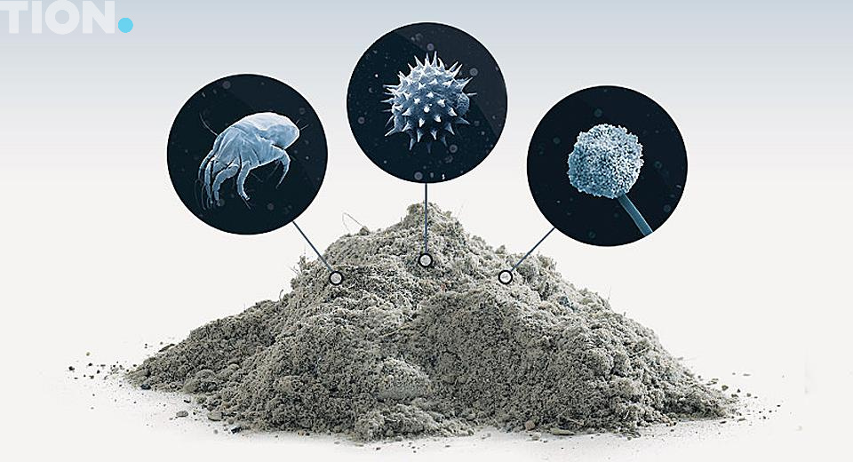 Кто живет в домашней пыли