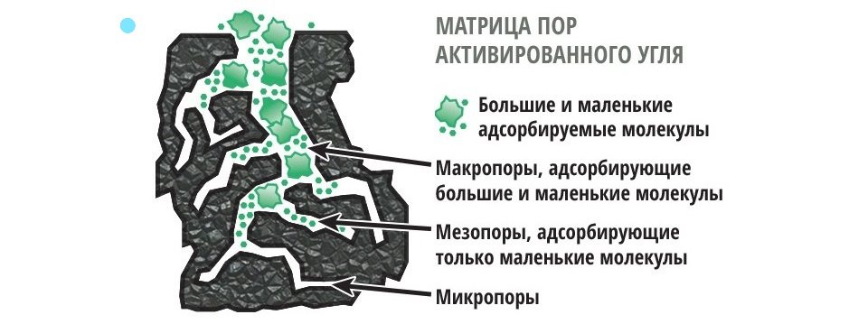 Матрица пор активированного угля