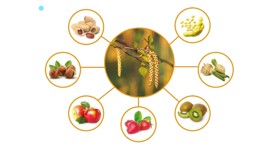 Перекрестная аллергическая реакция
