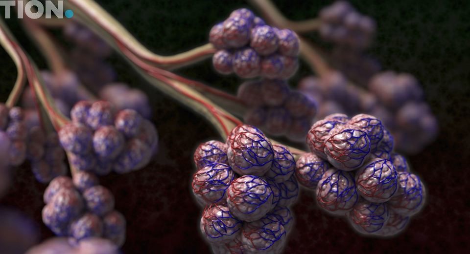 Гипоксия плода