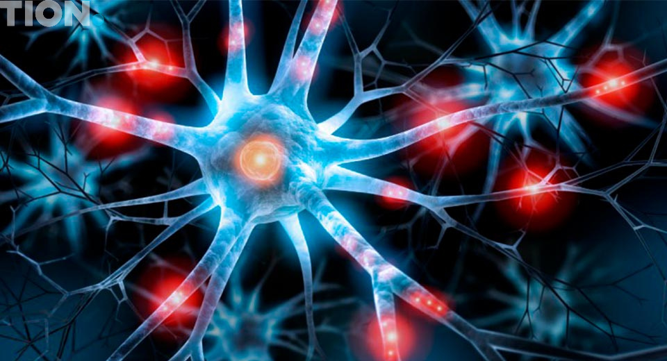 Болезнь Альцгеймера