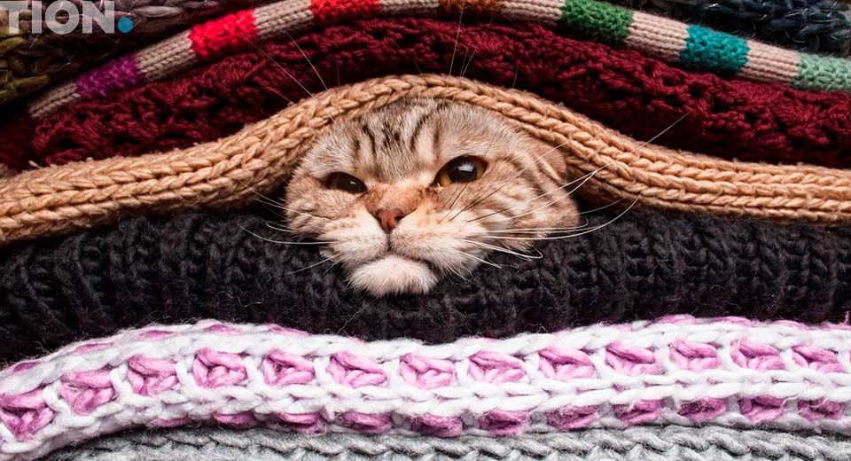 Как наладить отопление в квартире