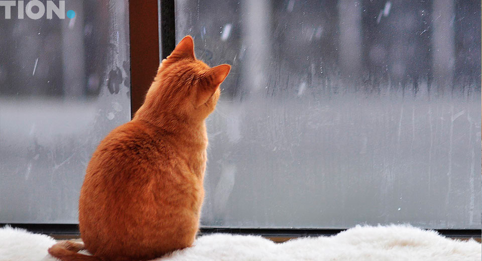 Профилактика гонконгского гриппа