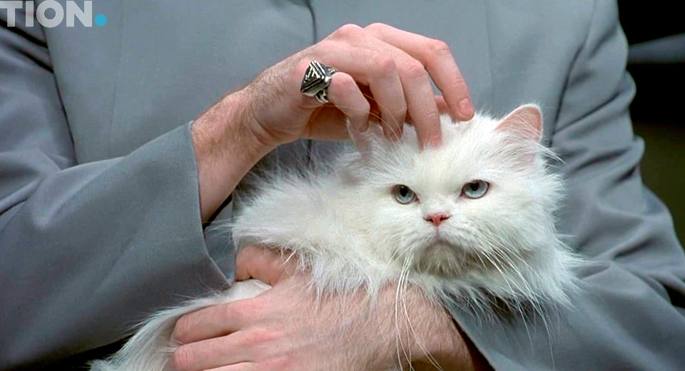 Аллергия на кошек