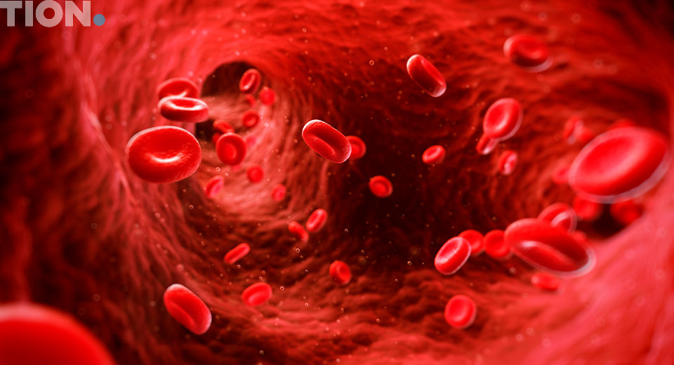 Углекислый газ в организме человека