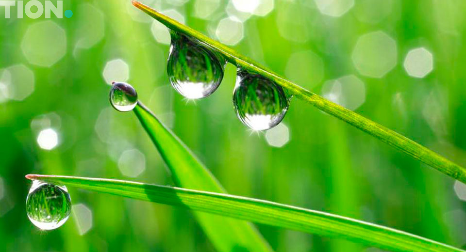 Решение проблемы сухого воздуха