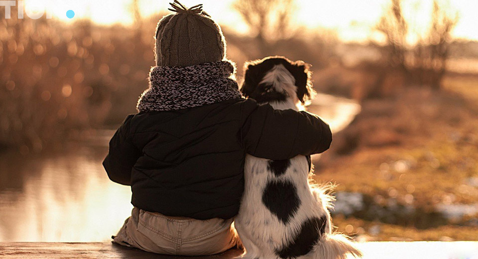 Аллергия на собак у детей