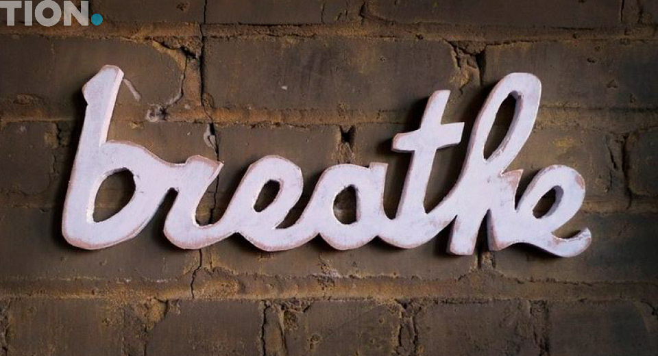 Дышит не только дерево