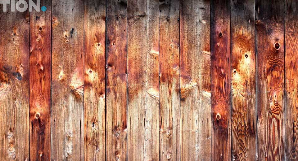 Причины появления плесени на стенах