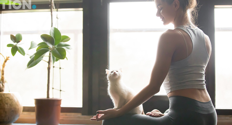 Приточные и приточно-вытяжные вентиляторы