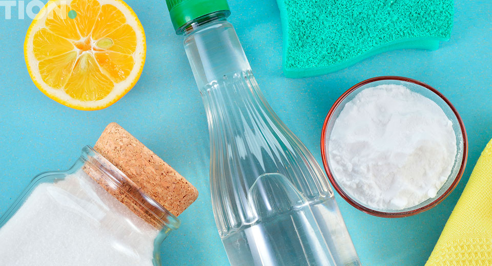 Народные средства избавления от плесневых грибов