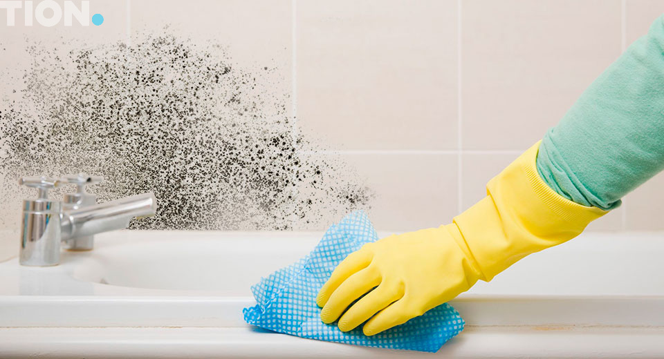 Черная плесень на стенах в квартире: как избавиться