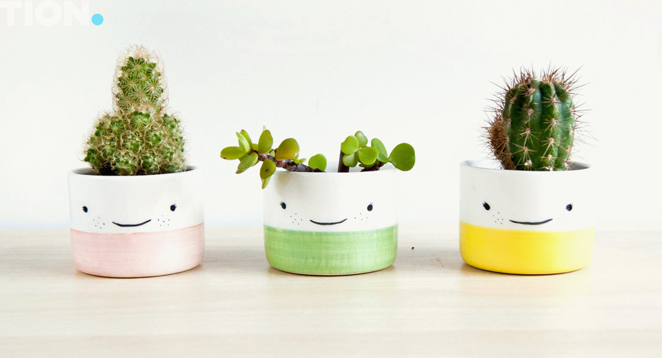 Комнатные растения