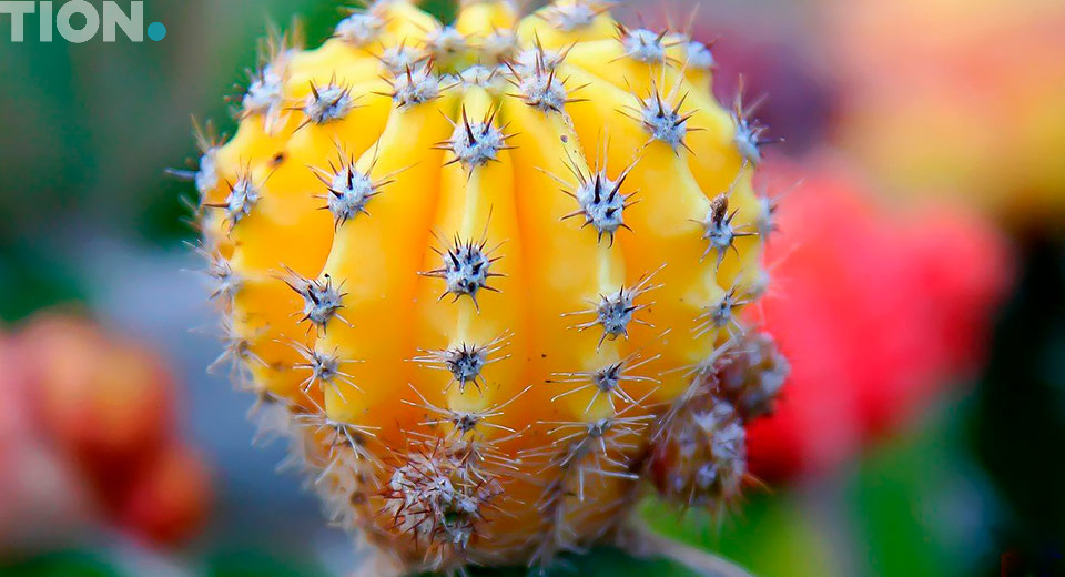 Как работает осушитель воздуха