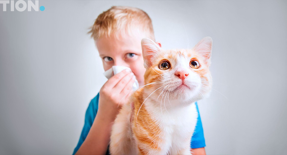 Каковы причины возникновения аллергии?