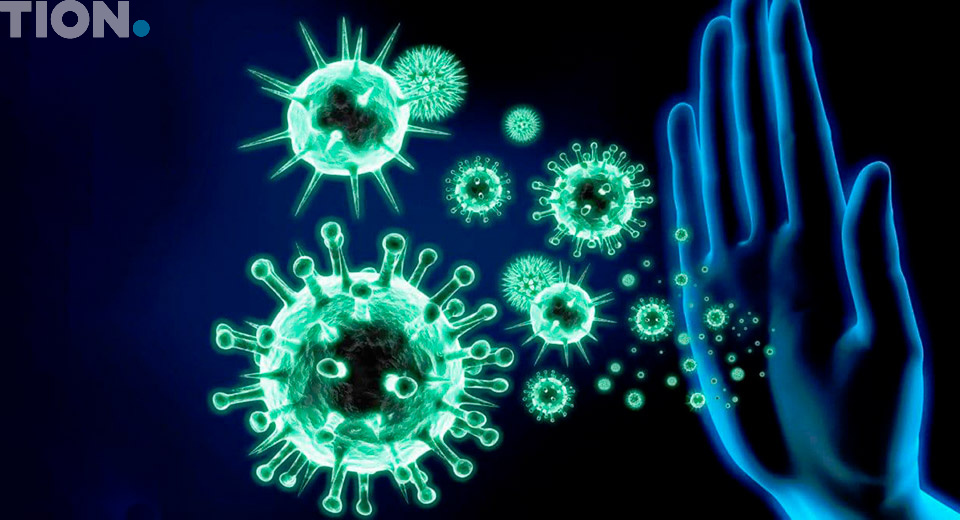 Принцип действия иммунной системы