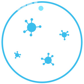 Споры плесени