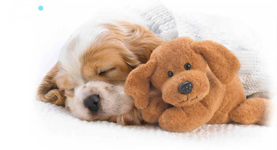 Здоровый сон