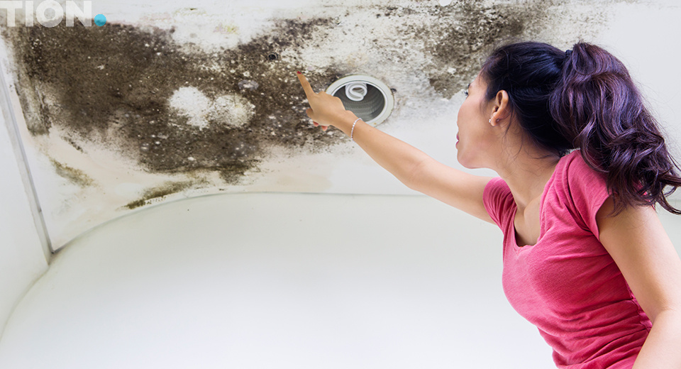 Плесень на потолке