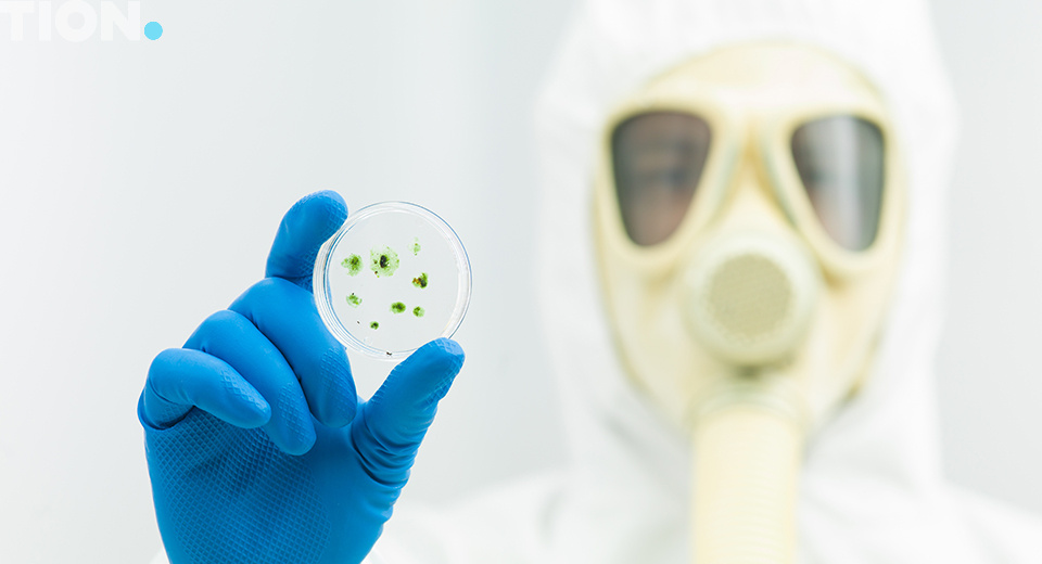 Человек в химзащите держит образец плесени