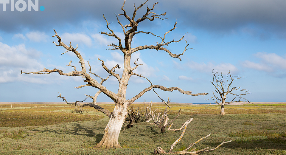 Окружающая среда