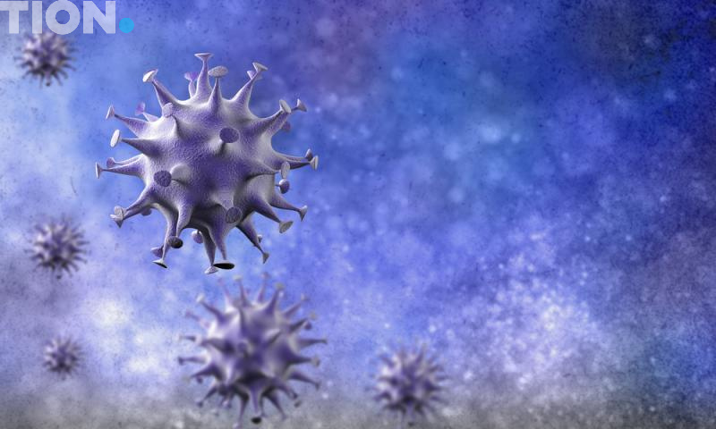 Штаммы коронавируса