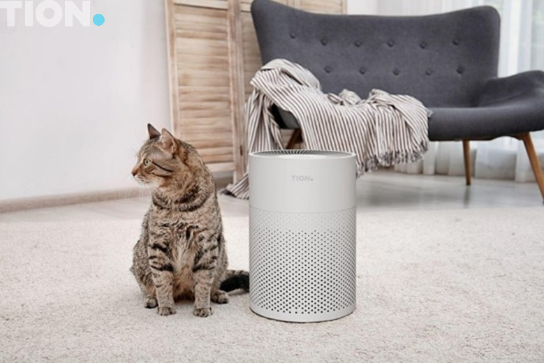 Рециркулятор IQ