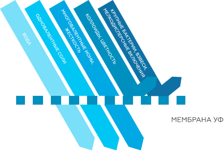 Ультрафильтрация